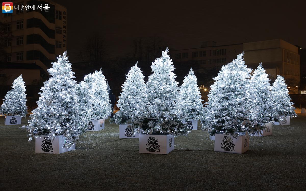 화이트 크리스마스를 연상시키는 하얀 조명으로 감싼 트리들이 은은하게 밤을 빛내고 있다. ⓒ김아름