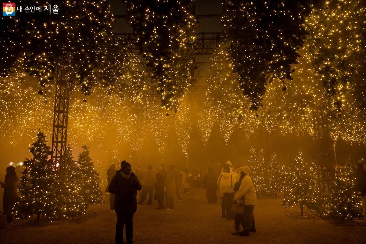 가장 눈길을 끄는 곳은 전시 공간 천장에 매달린 약 200여 개의 크리스마스트리다. ©임중빈