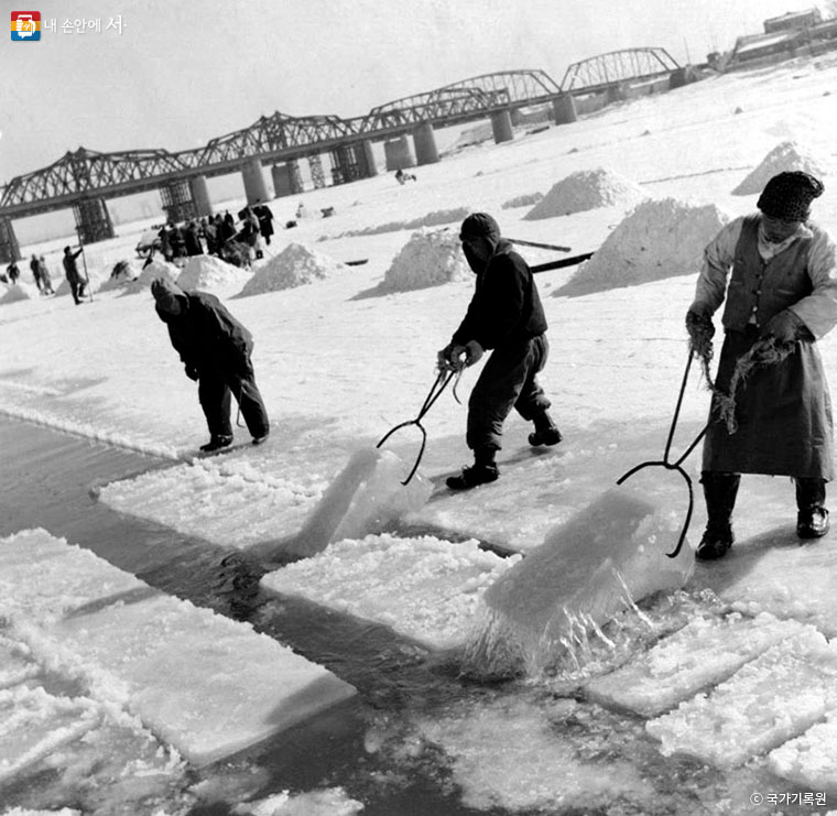 1957년 한강에서 채빙하는 사람들 