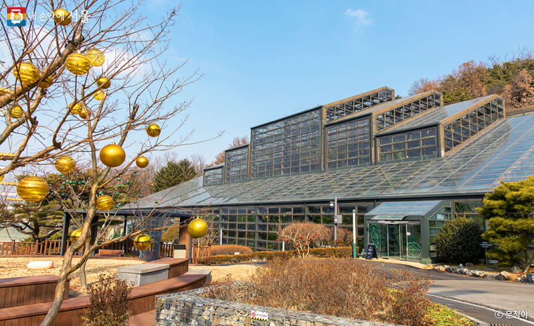 서울대공원 내 식물원의 대표시설인 ‘전시온실’이 3개월 간의 정비를 마치고 관람객을 다시 맞는다. 