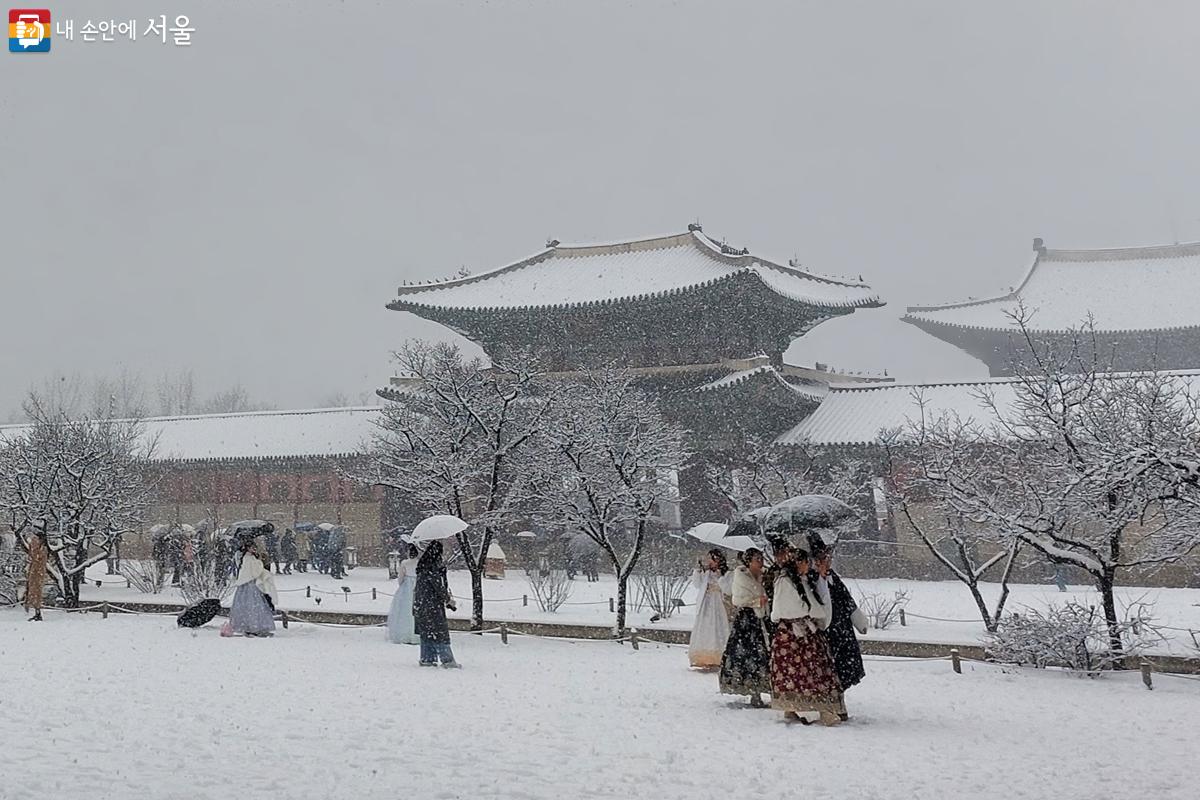 기와와 담장, 나뭇가지와 잎 사이에 소복이 쌓인 눈을 보는 것만으로도 마냥 즐겁다. ©정향선