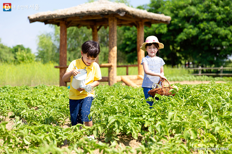 서울 근교 ‘동행서울 친환경농장’ 11곳과 ‘용산가족공원’에서 텃밭을 가꿀 참가자를 모집한다. 