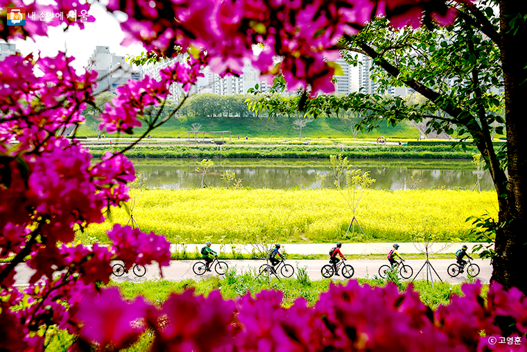 서울 도심에서 한강까지 약 1.7㎞의 자전거 전용 도로가 15일 개통됐다.