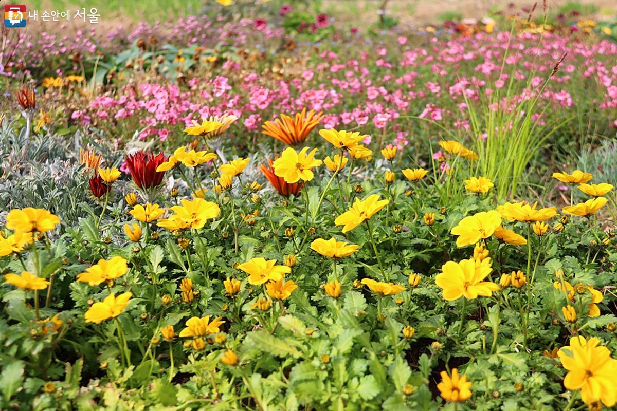 서울시 공원여가사업과는 청년(일반시민)과 서울시 공원사진가를 위한 '봄이 찾아오는 공원에서 인생 사진' 교육을 진행한다. ©정향선