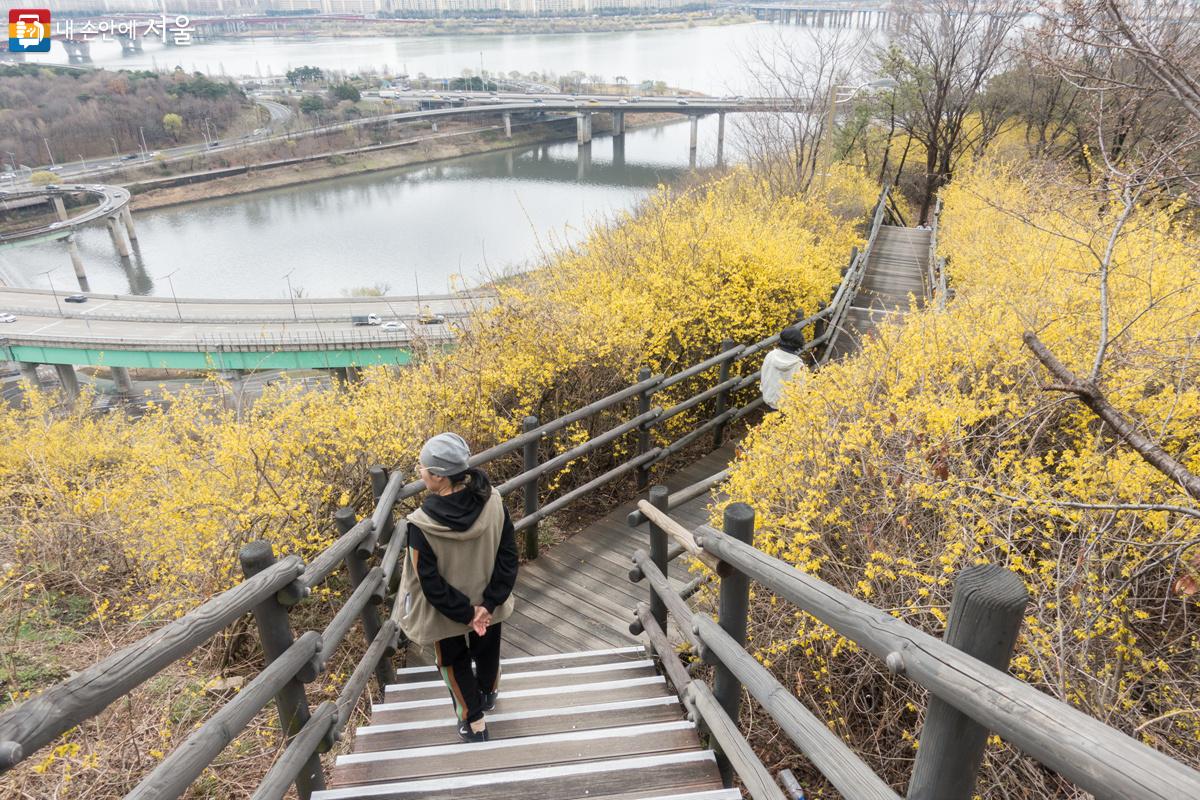 서울숲 방향 하산 길 Ⓒ김인수