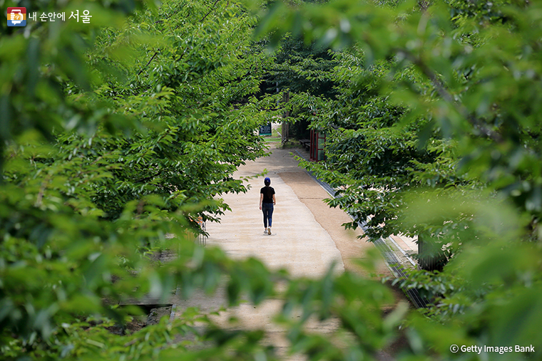 서울시가 1인가구를 위한 야외체험 프로그램을 새롭게 시작한다.