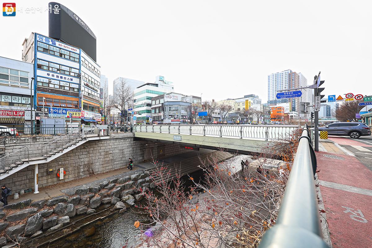 봄꽃이 피고 있는 청계천의 봄 풍경  ©김주연