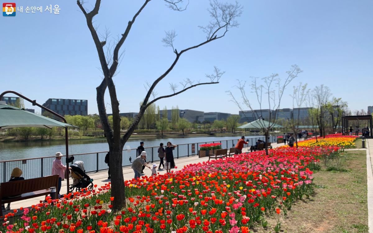 산책로를 따라 꽃들을 감상하다 보면 일상의 시름을 씻어내기에 충분하다. ©김도연