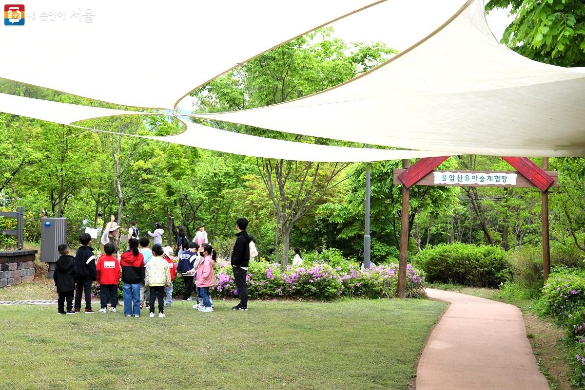 불암산유아숲체험장에서 어린이들이 숲 해설가 설명을 귀담아 듣고 있다. ©이봉덕