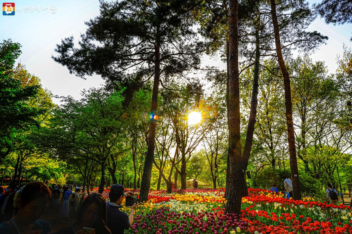 늦봄과 초여름의 정취를 동시에 느낄 수 있었던 ‘서울숲’ 나들이 ©박우영