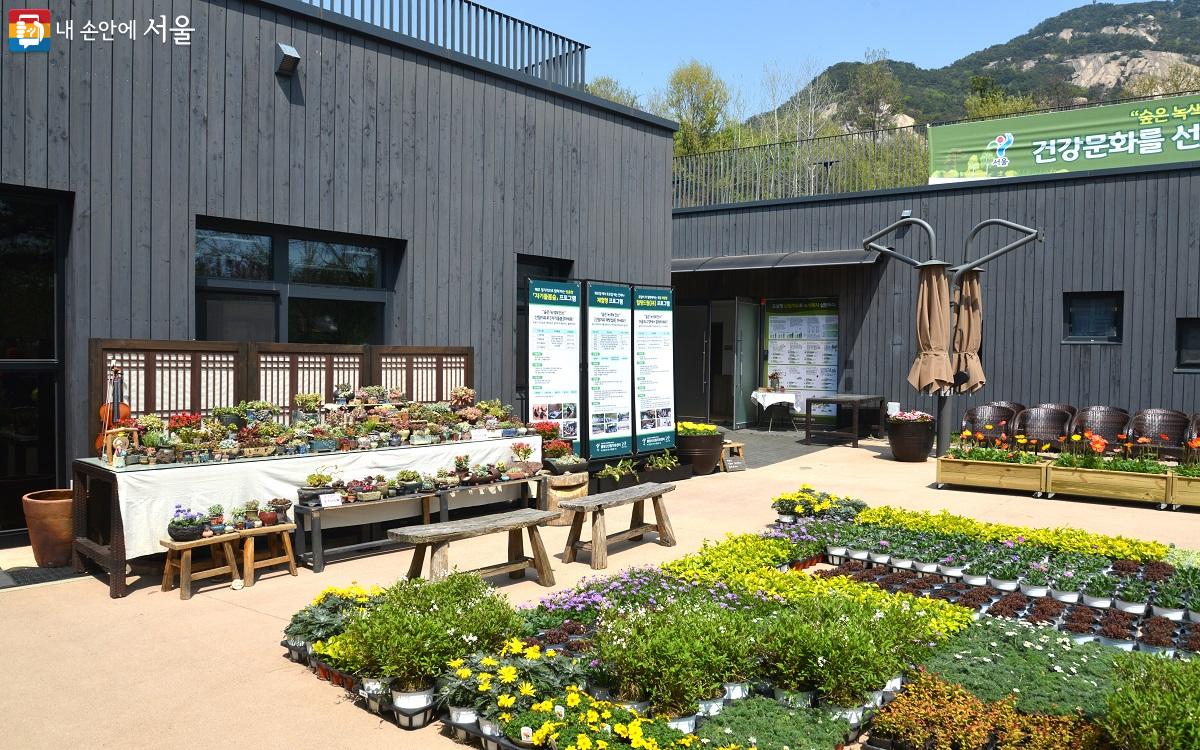 산림치유센터 앞 마당에도 알록달록 봄꽃들로 가득하다. ©이봉덕