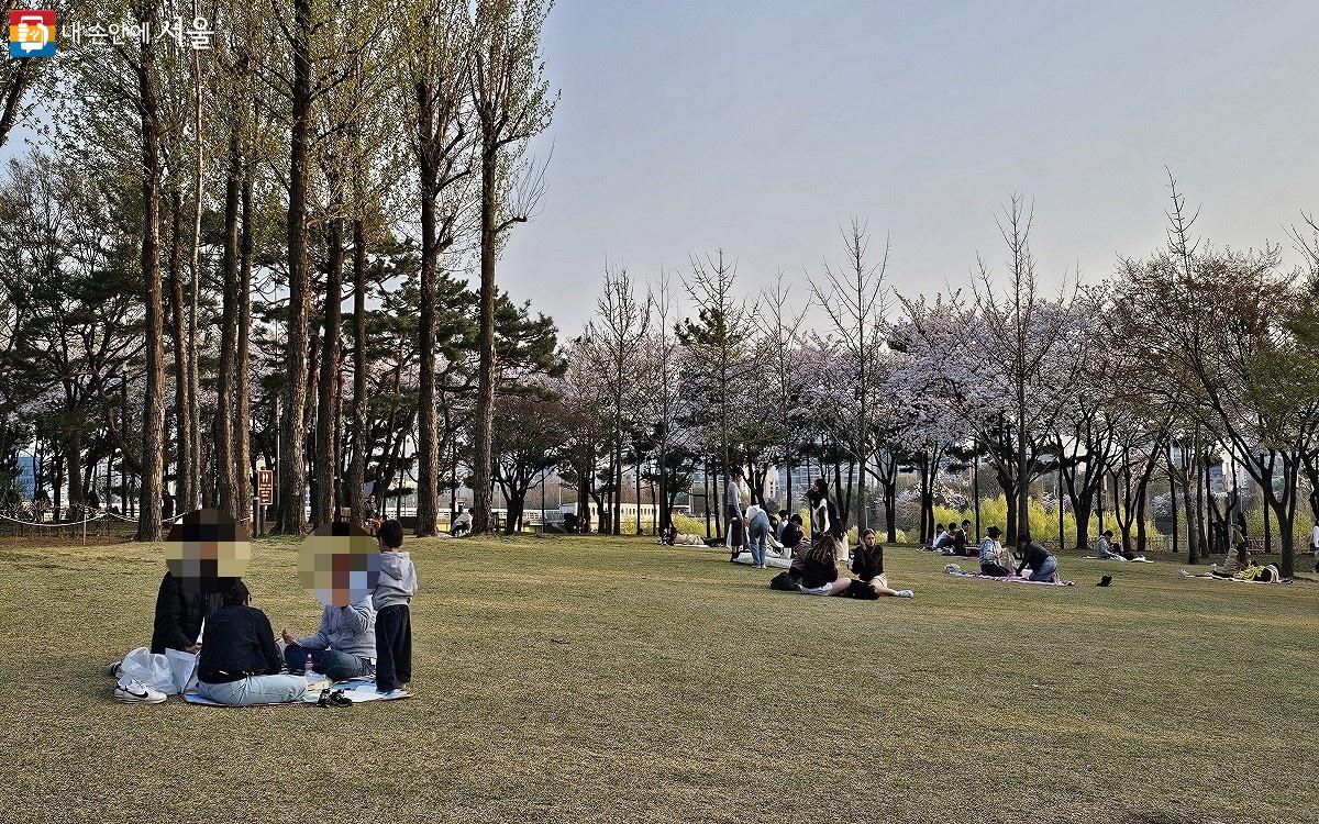 선유도공원 잔디공원 ⓒ권연주