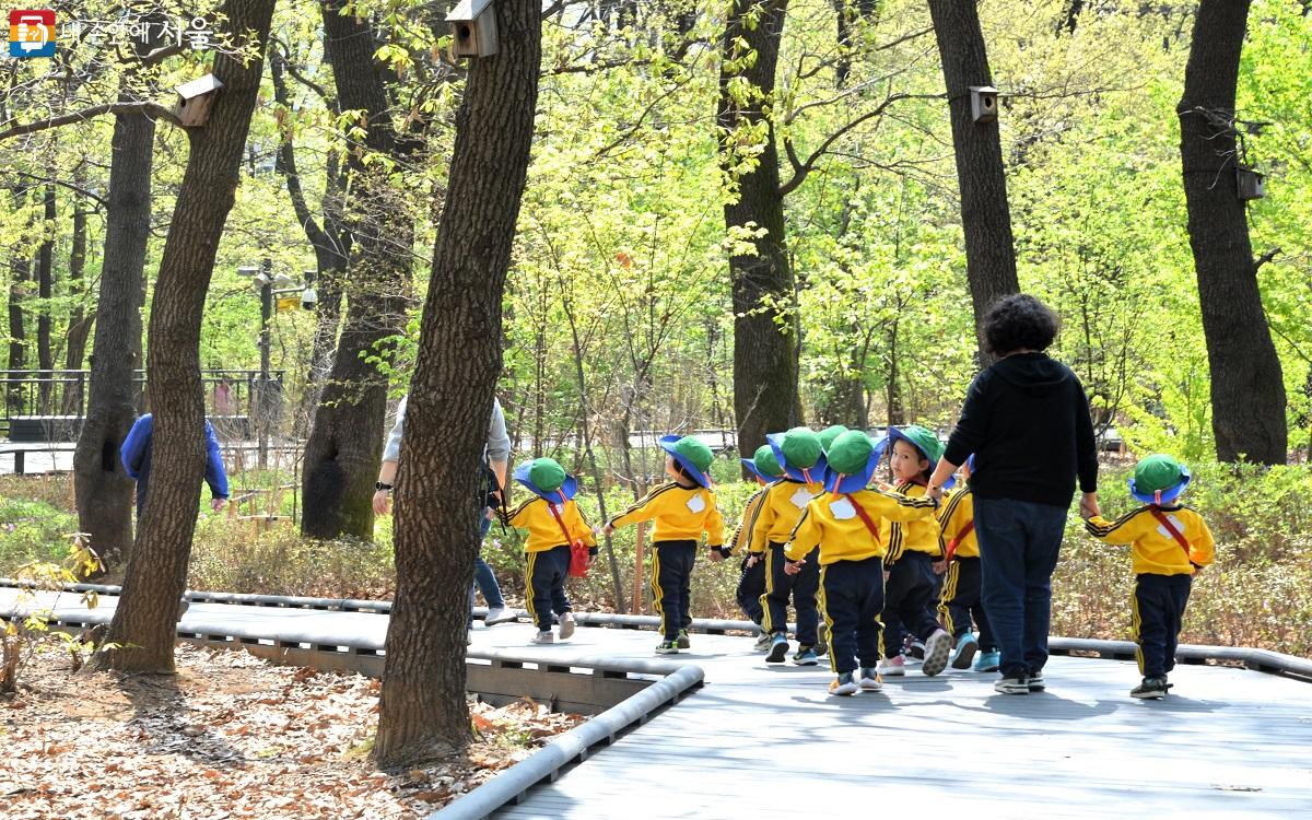 초록 모자에 노란 셔츠의 봄꽃 같은 어린이들이 손에 손잡고 초록 숲속을 줄지어 걷고 있다. ©이봉덕