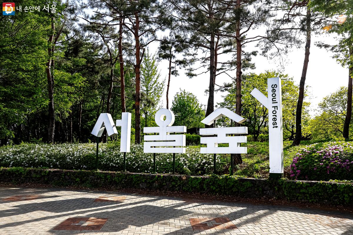자연의 품을 느낄 수 있는 서울의 대표적인 공원, 서울숲 ©박우영 