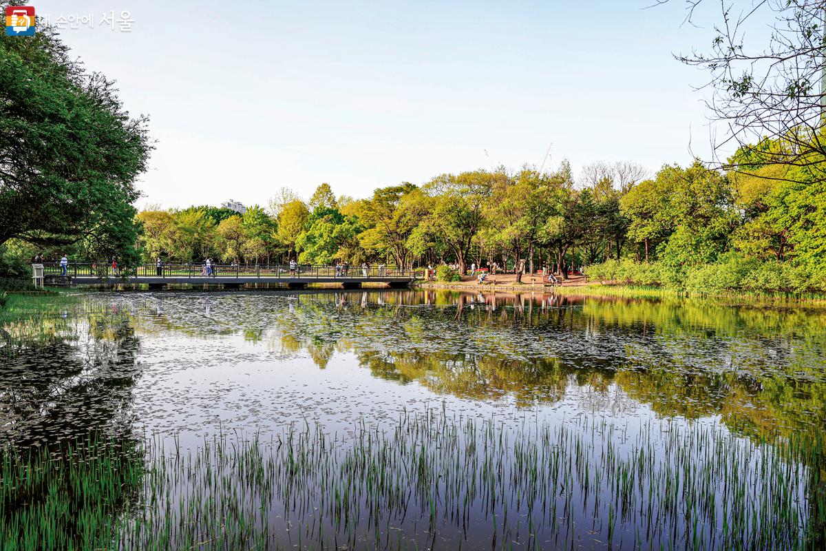 제법 큰 규모의 서울숲  중앙 호수. 호수 주변으로 앉아서 쉴 수 있는 벤치들이 조성되어 있다. ©박우영