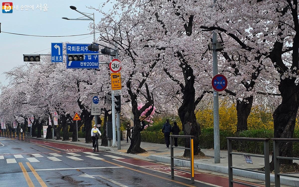 이른 아침, 자전거 타는 시민 ⓒ권연주