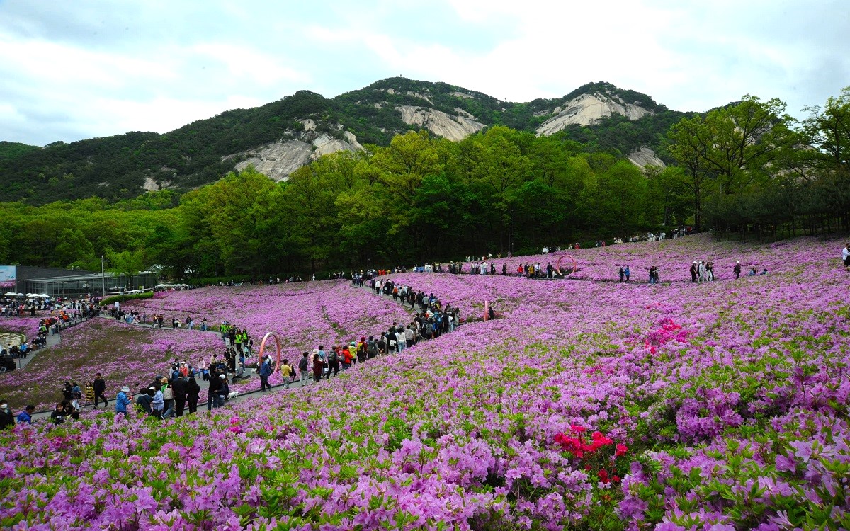 불암산나비정원 사진