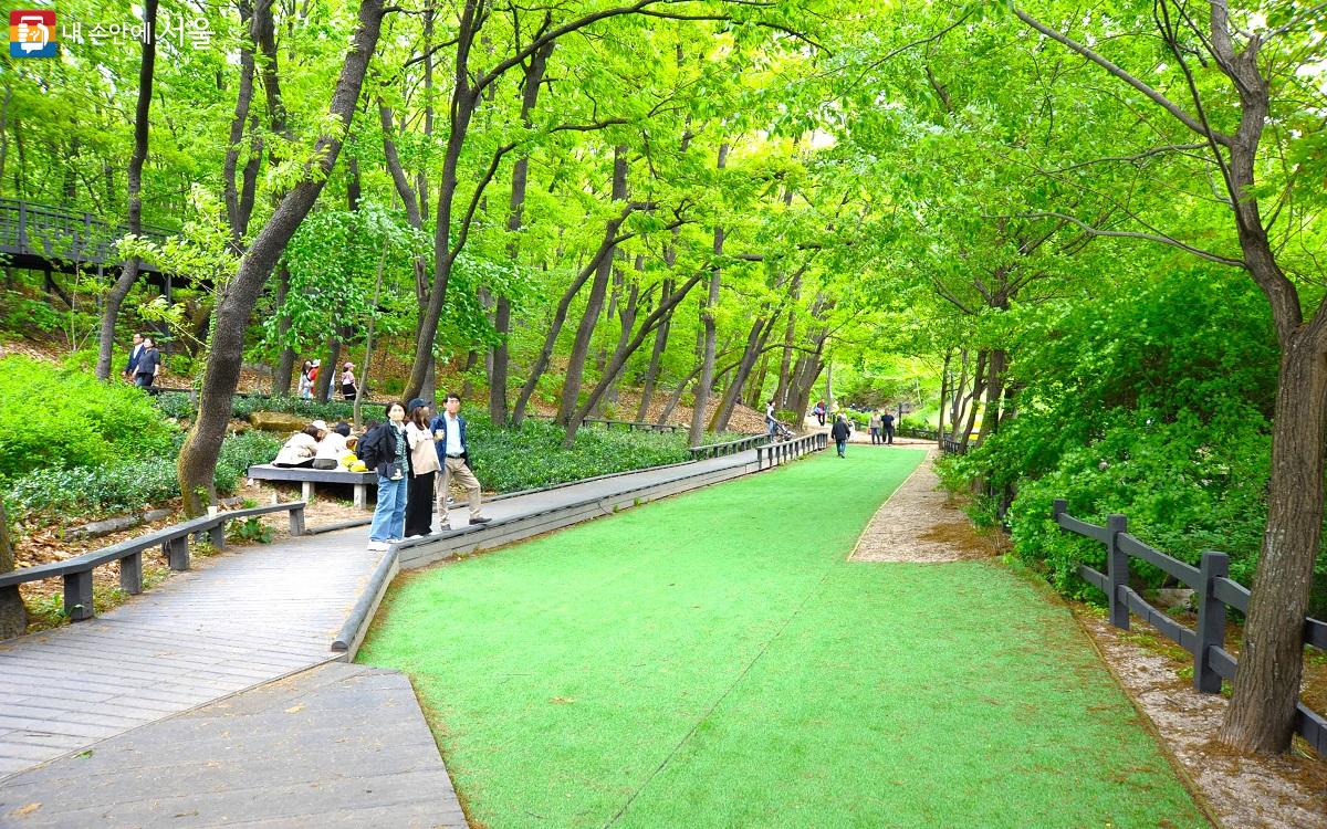 초록색으로 변한 힐링타운 산책로를 따라 무장애 나무 데크길을 설치했다. ⓒ조수봉