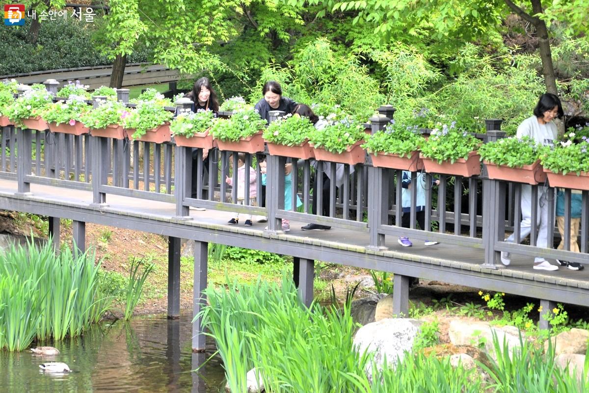 생태연못 수변데크 난간에 얼굴을 빼꼼히 내밀고 신기한 듯 오리를 바라보고 있는 어린이들 ©이봉덕