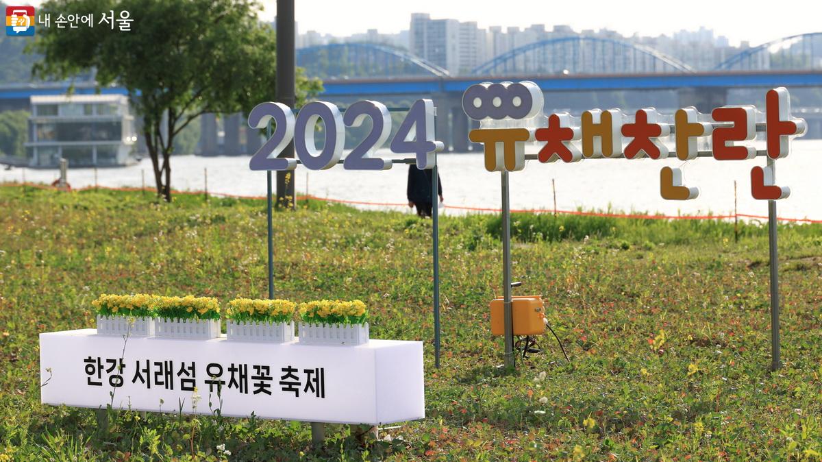 2024 한강 서래섬 유채꽃 축제를 알리는 유채찬란 포토존 ©박성환