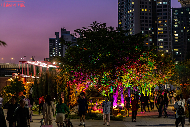 시민들이 형형색색의 조명으로 물든 밤의 '서울국제정원박람회'를 즐기고 있다.