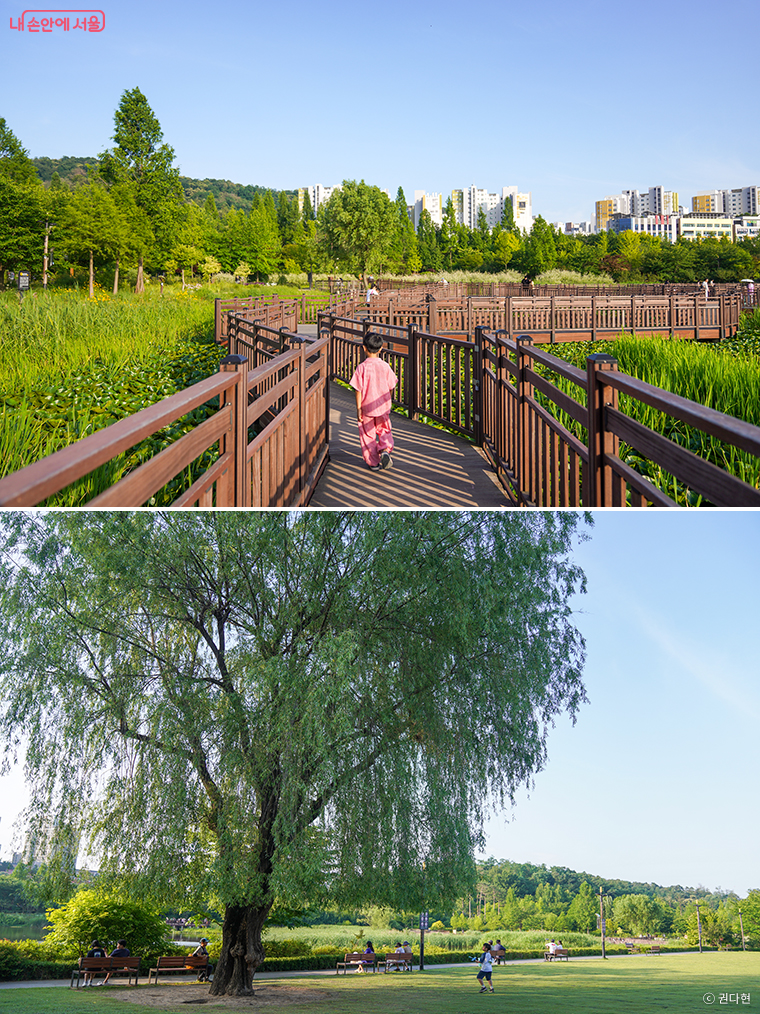 푸른수목원에는 20개 주제정원과 드넓은 잔디마당이 싱그러운 휴식처를 제공한다.