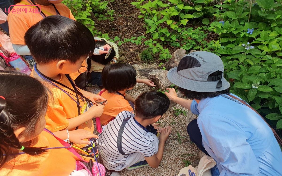 삼청공원 유아숲체험장에 조성된 동행가든에서 아이들이 유아숲지도사와 숲체험 중이다. ©엄윤주