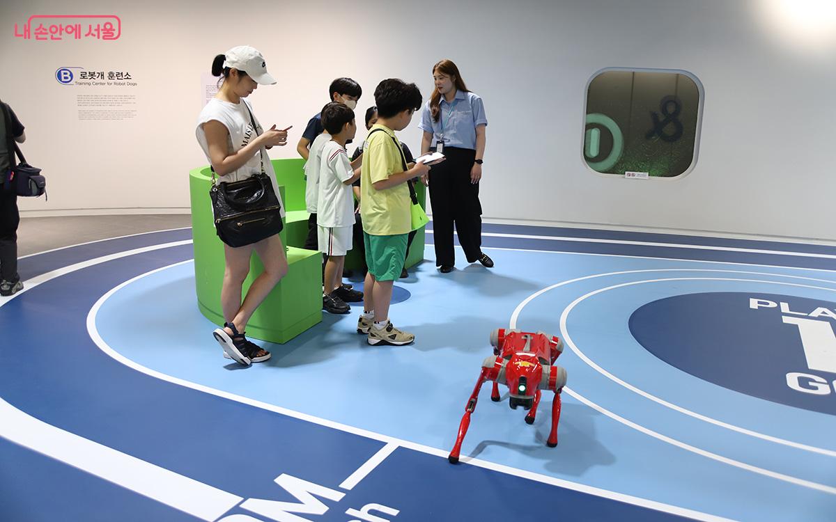 서울로봇인공지능과학관의 '로봇개 훈련소'는 최첨단 기술과 혁신적인 교육이 만나는 공간이다. ©이혜숙
