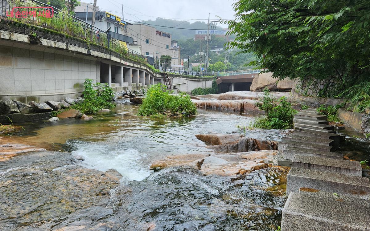 간밤에 내린 비로 인해 시원하게 흐르는 물줄기가 거세다. ©김미선