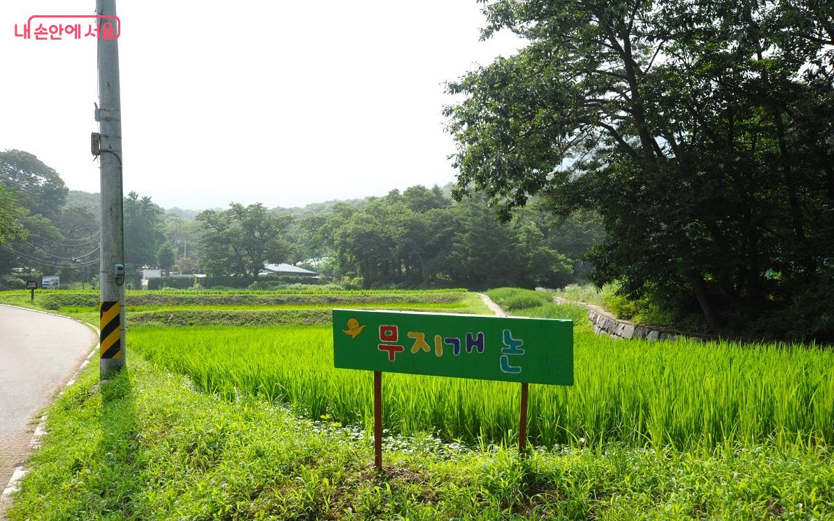 북한산과 도봉산 자락에서 유일한 농경지가 있는 무수골 풍경 ⓒ조수봉
