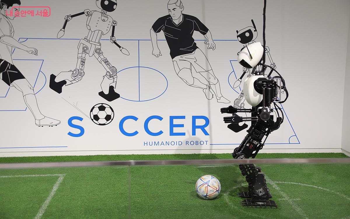 세계 로봇축구대회에서 2등을 차지한 '축구 로봇'은 기술과 창의성의 정수를 보여준다. ©이혜숙