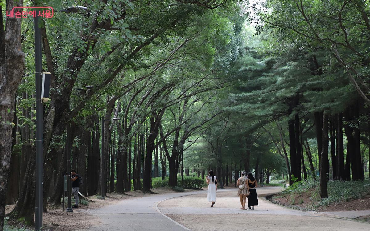 서울숲은 생명과 활력이 넘치는 공간으로, 자연과 함께하는 소중한 순간들을 제공한다. ©정향선