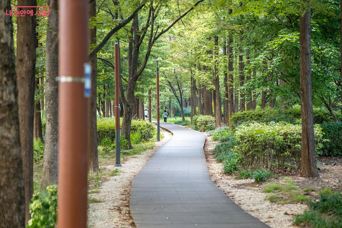 인근 상권과 산책로, 양재천근린공원이 하나로 연결되어 많은 시민이 찾을 것으로 기대된다. ⓒ임중빈  