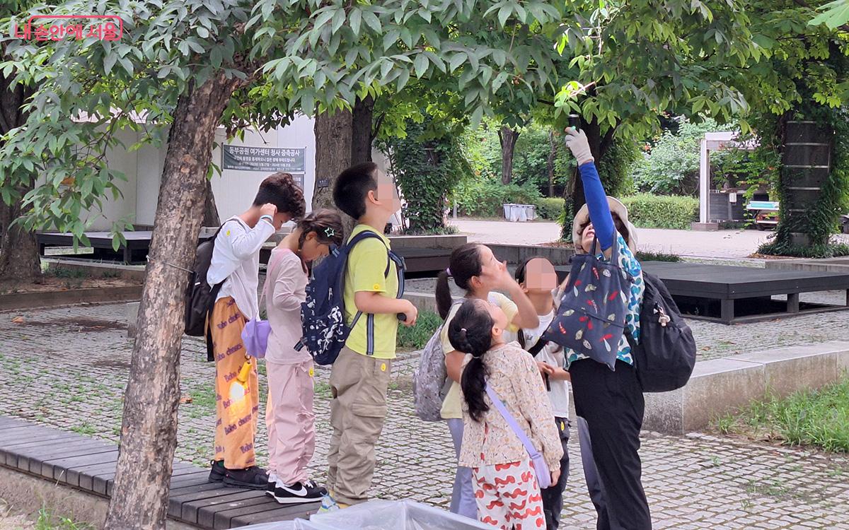 숲해설가의 설명을 들으며 자연과 더 가까워지는 시간을 가질 수 있다. ©정향선