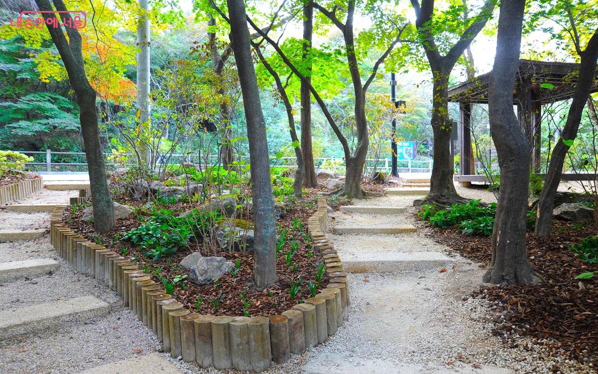 장충체육회 앞에 조성된 이주은·오태환 작가의 ‘물, 바람, 마음이 머무는 정원’ ©조수봉