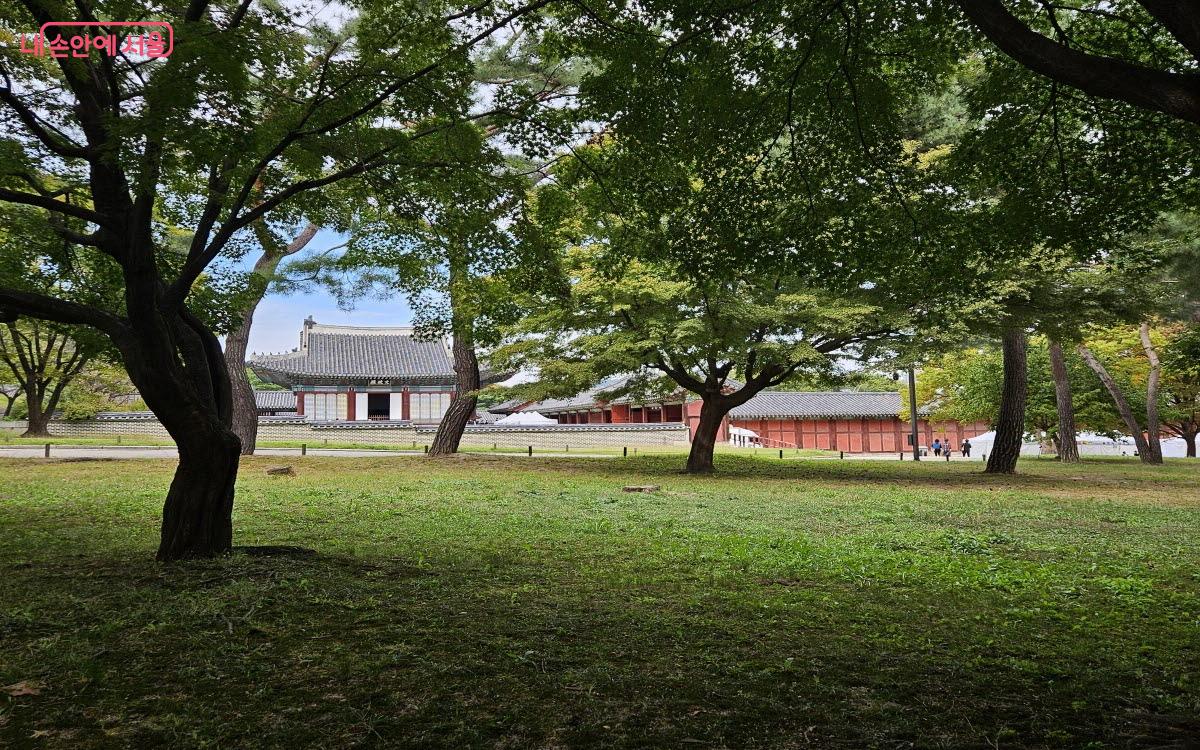 문정전 옆의 숲도 조만간 단풍으로 물들 것이다. ⓒ이선미