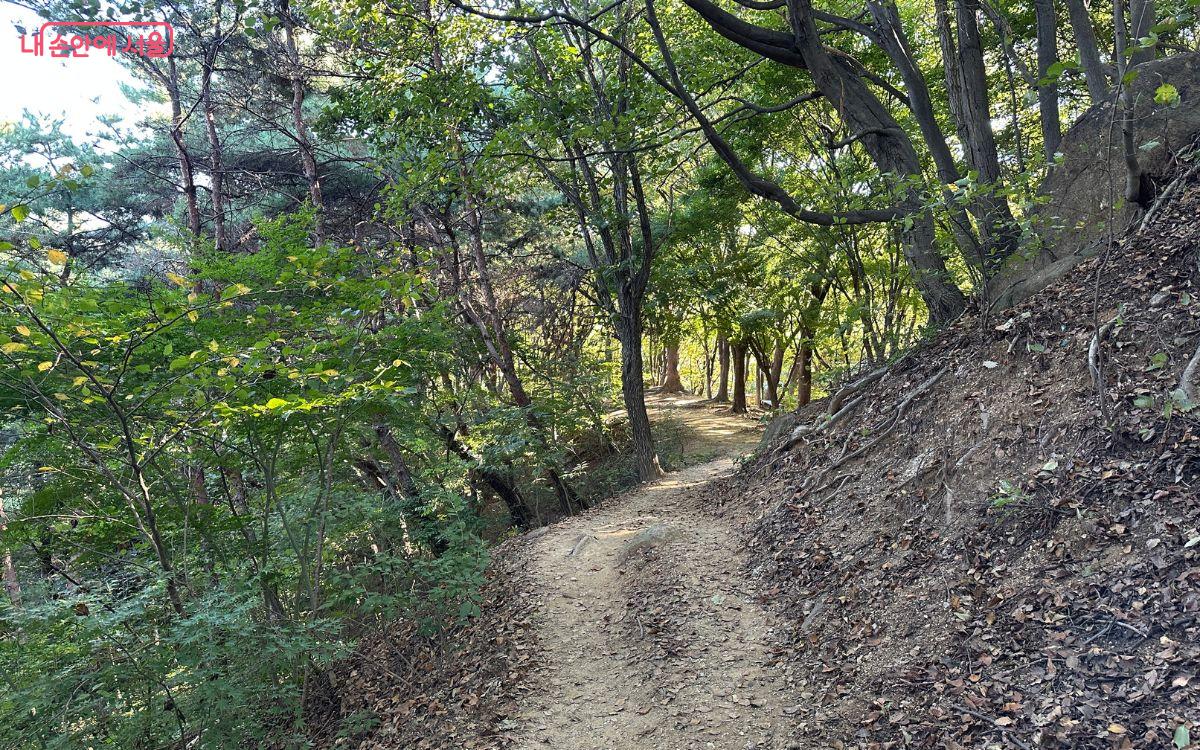 가벼운 등산을 즐기기에 안성맞춤이다. ©김재형