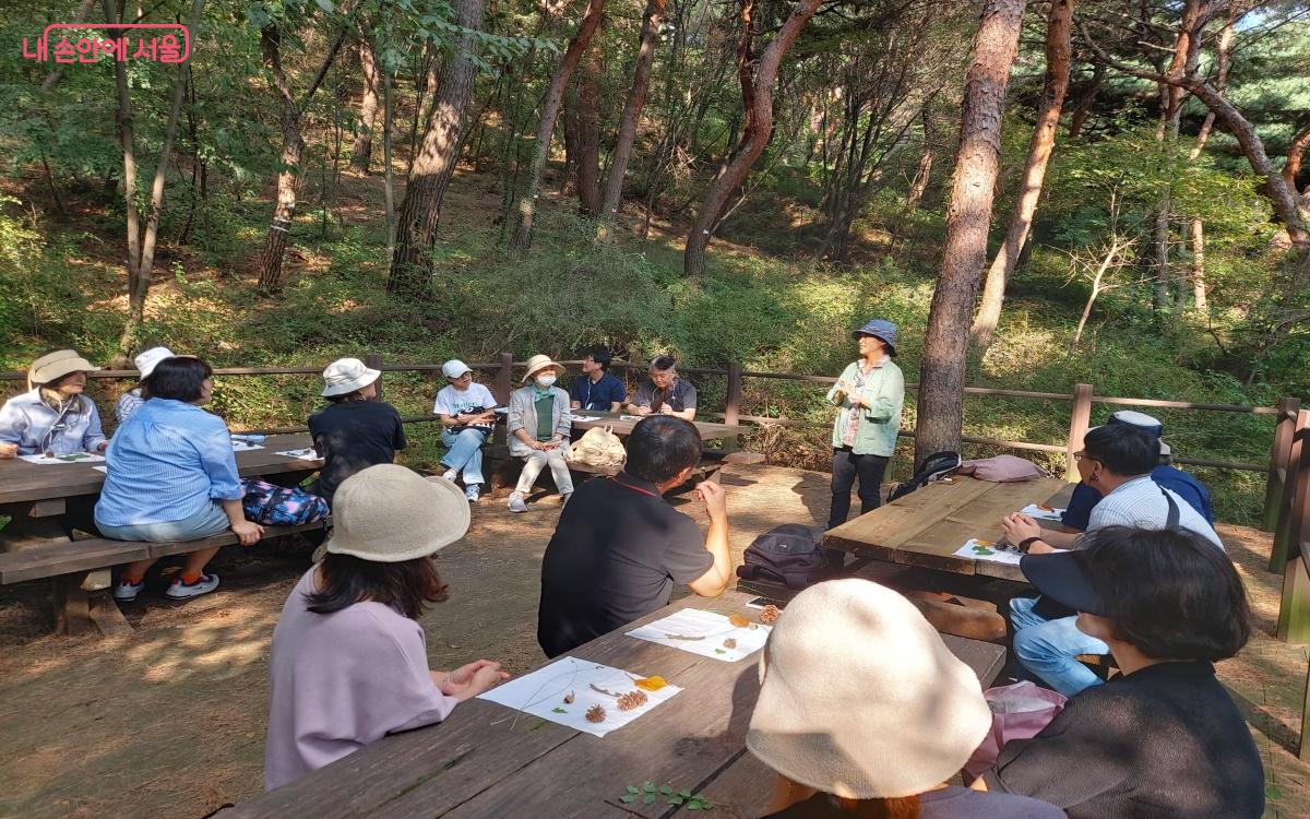 남산공원에서 진행된 '서초50플러스센터'의 숲 강의 현장 ⓒ김인자