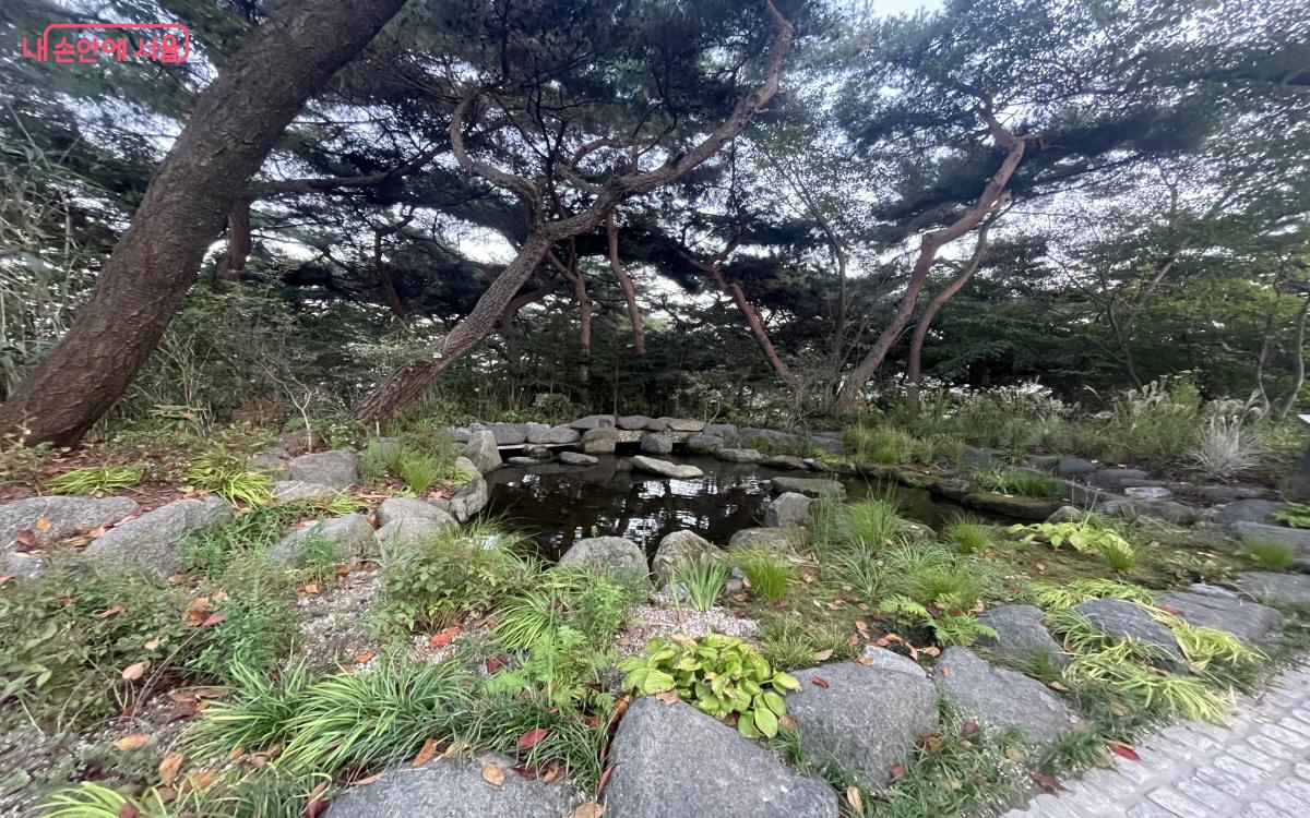 서수현 작가의 ‘남산의 바람이 머무는 연못 바람정원’은 아담한 연못에 꾸민 수변정원이다. ©이정민