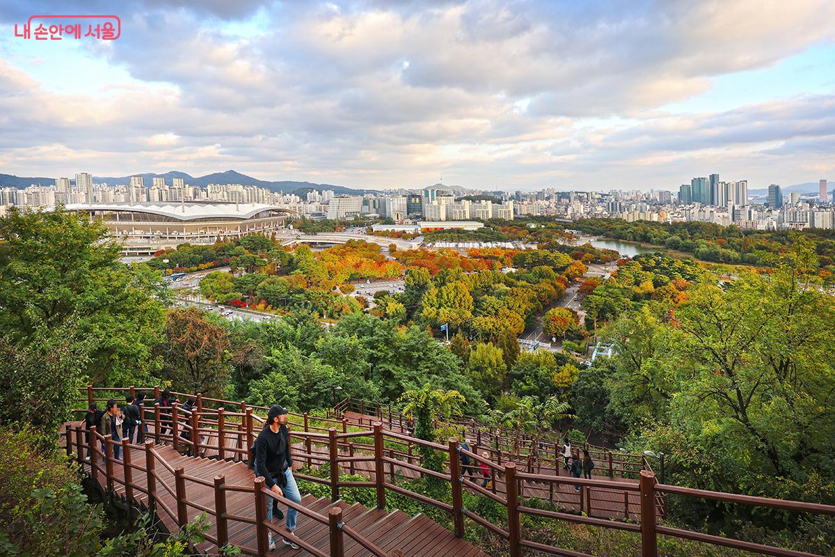 하늘공원으로 오르는 계단. 단풍으로 물드는 상암동의 풍경을 감상할 수 있다. ©김주연