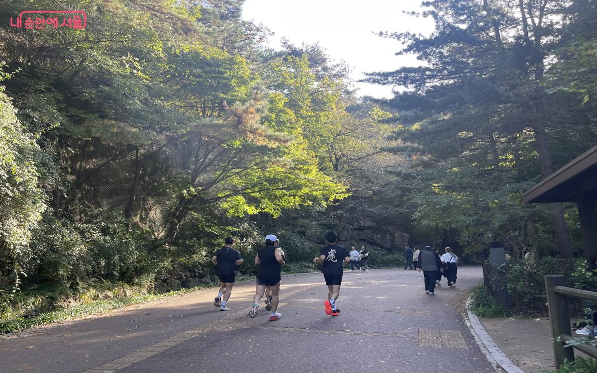 남산둘레길에서 산책하고 운동하는 시민들을 만날 수 있다. ©이정민