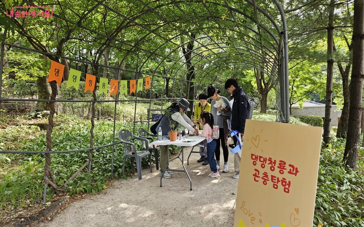 ‘댕댕청룡과 곤충탐험’에서는 삼청공원의 다양한 곤충을 만날 수 있었다. ⓒ이선미 