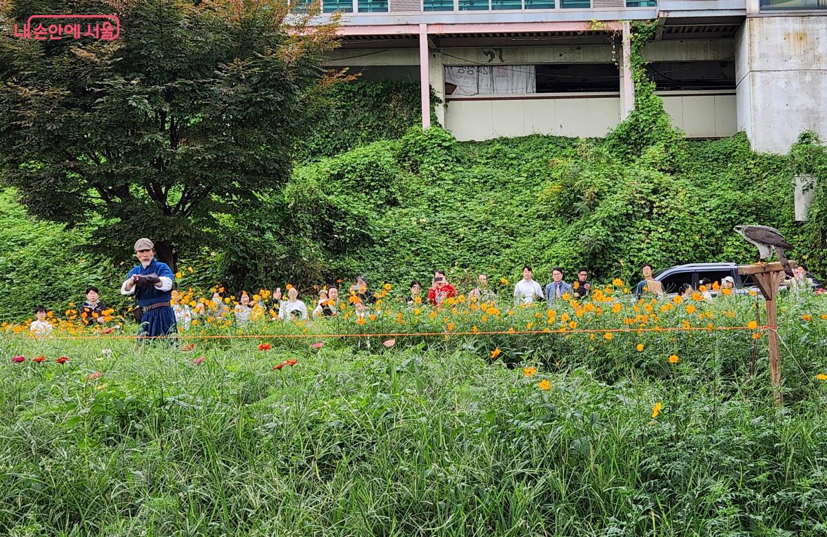 매사냥의 시범에 앞서 매와 매사냥꾼의 신경전이 날카롭다. ⓒ조시승