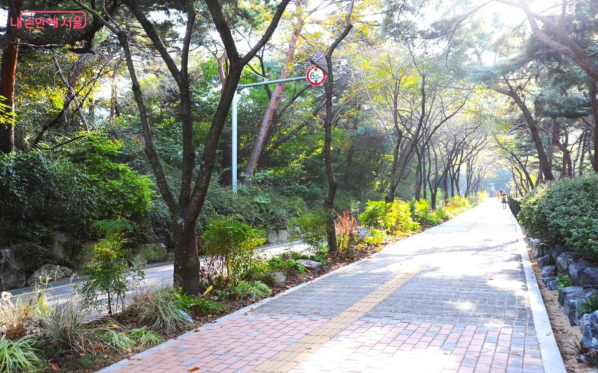 순환로 입구 ‘띠녹지’에 조성된 김지학 작가의 ‘사색(四色)의 정원’ ©조수봉