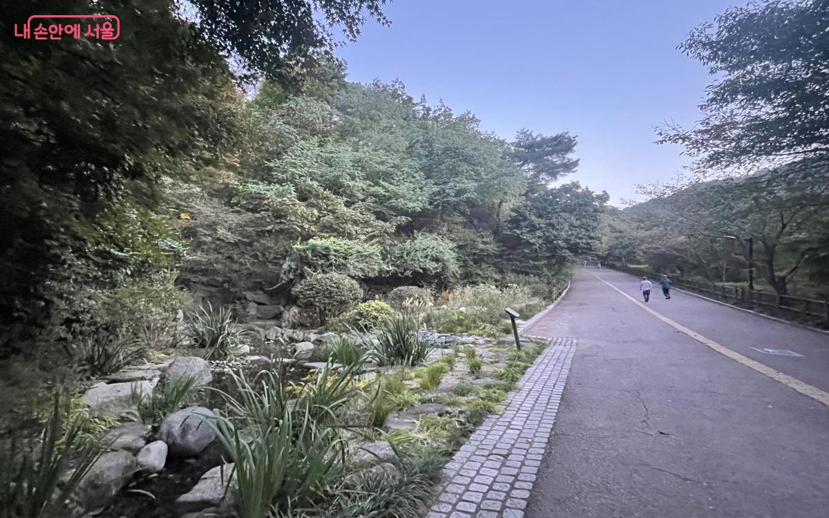 소나무 힐링숲 인근 실개천에서 볼 수 있는 ‘남산의 바람이 머무는 연못 바람정원(서수현 작가)’ ©이정민