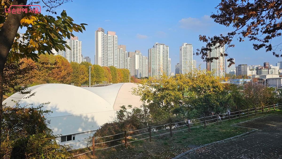 피천득 산책로에서 바라본 반포체육공원과 반포동 일대 풍경 ©최용수