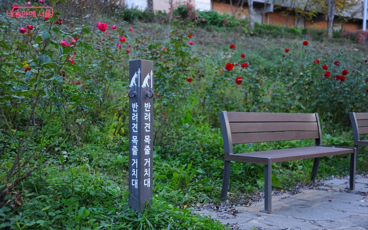 반려견을 동반한 시민들을 위해 반려견 목줄 거치대가 설치된 쉼터 ⓒ조수봉 