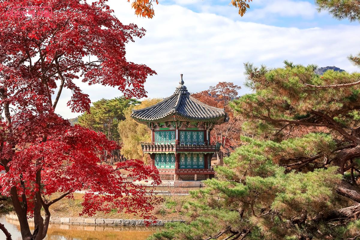 경복궁 북쪽 후원에 위치한 '향원지' 내에 만들어진 '향원정'이 보인다. ⓒ박우영