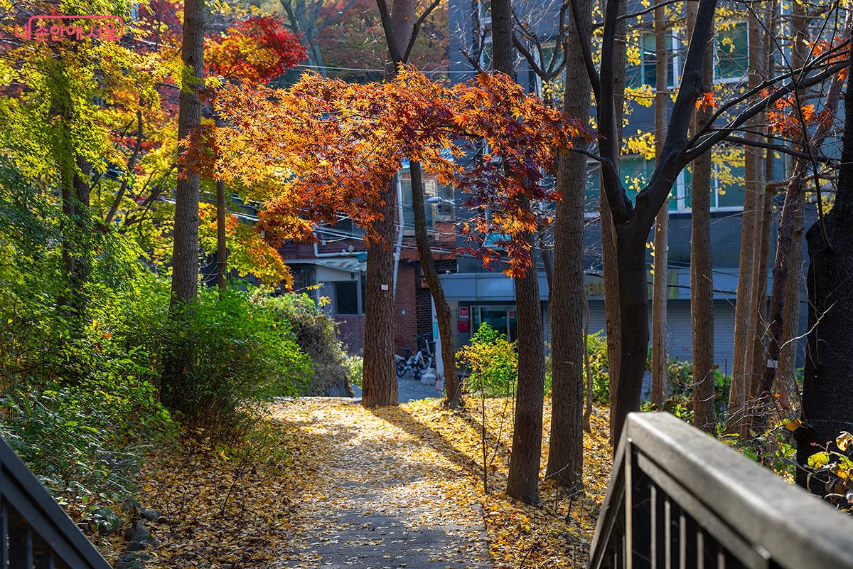 필동 구립노인요양센터에서 남산공원 북측순환로 길 117m는 주민들이 남산에 편리하게 올라갈 수 있는 목재데크 산책로를 조성해 놓았다. ©문청야