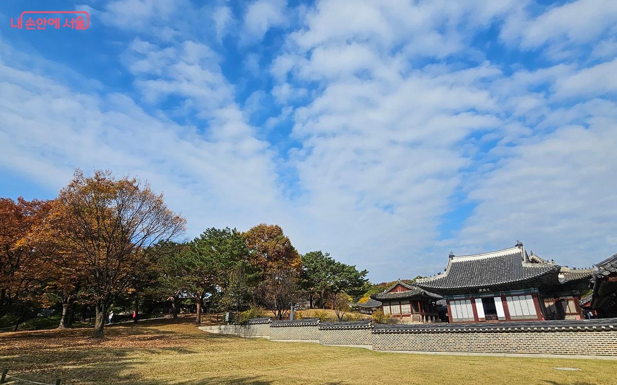 가을 하늘도 가을빛도 완벽했던 날, 창경궁 ⓒ권연주